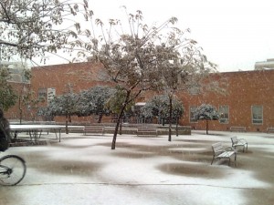 Jardins de la Pau. Per Felipe