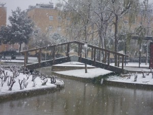 Parc de la Solidaritat. Per Jeannette